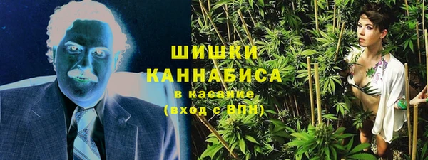 стаф Протвино
