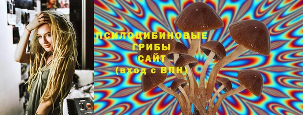 стаф Протвино