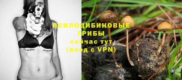 стаф Протвино