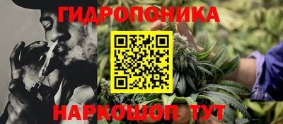 кокс Аргун