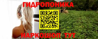 прущие грибы Балахна