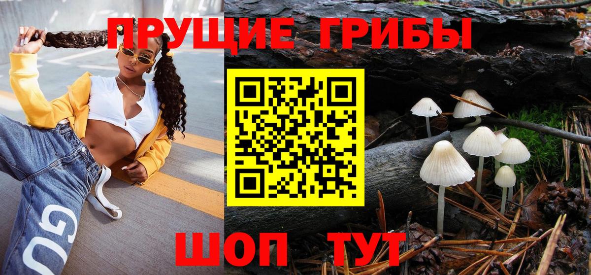 Галлюциногенные грибы Magic Shrooms  Псилоцибиновые грибы прущие грибы  Владикавказ 