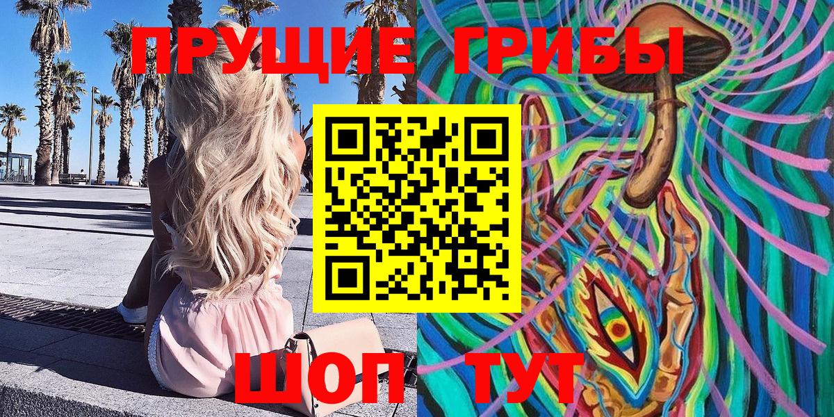 Псилоцибиновые грибы мицелий  Вход с VPN  магазин  наркотиков  Владикавказ  Псилоцибиновые грибы GOLDEN TEACHER 