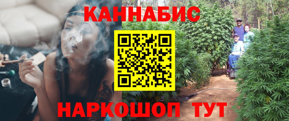 Бошки марихуана конопля Владикавказ